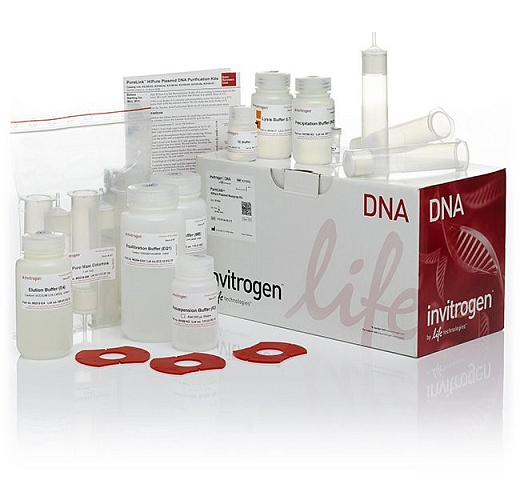 Набор PureLink HiPure Plasmid Maxiprep Kit