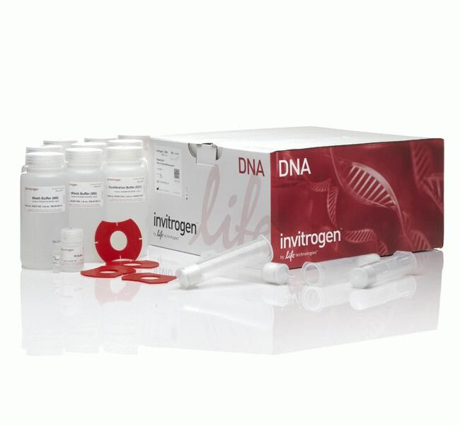 Набор PureLink HiPure Plasmid Midiprep Kit
