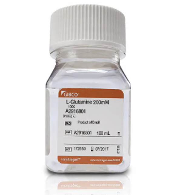 Добавка GlutaMAX, заменитель L-глутамина