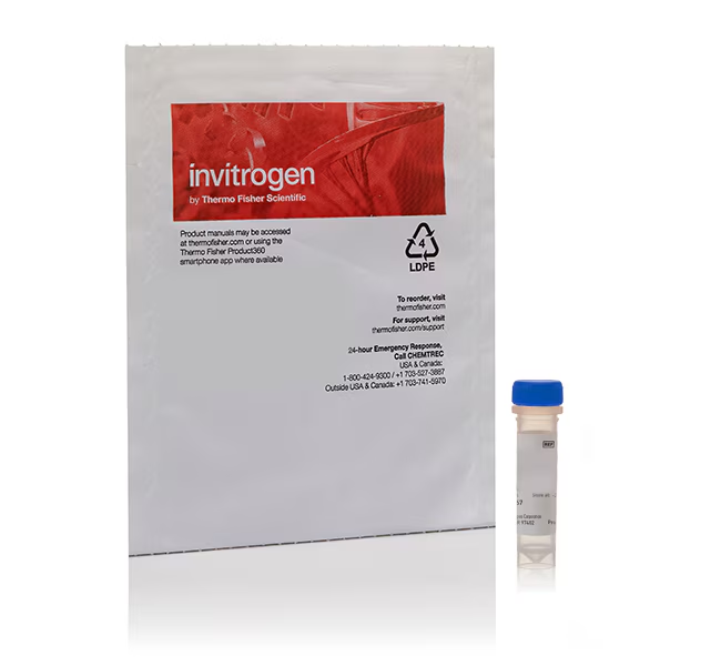 Краситель SYTO RNASelect Green Fluorescent cell Stain
