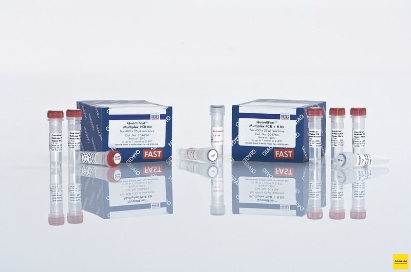  204654 Набор для количественной ПЦР в режиме реального времени QuantiFast Multiplex PCR Kit 400 реакций, Qiagen