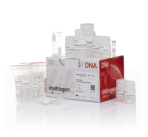 Набор PureLink HiPure Plasmid Miniprep Kit