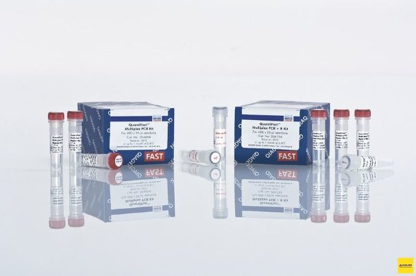 204656 Набор для количественной ПЦР в режиме реального времени QuantiFast Multiplex PCR Kit 2000 реакций, Qiagen