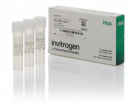 Маркер РНК, RNA 6000, от 200 п.н. до 6000 п.н., 150 мкг/мл