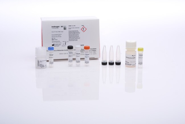 Набор для флуоресцентной окраски Click-iT Plus TUNEL Assay для изучения фрагментации хроматина In Situ, с Alexa Fluor 488