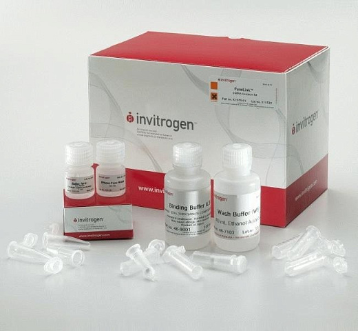 Набор PureLink miRNA Isolation Kit