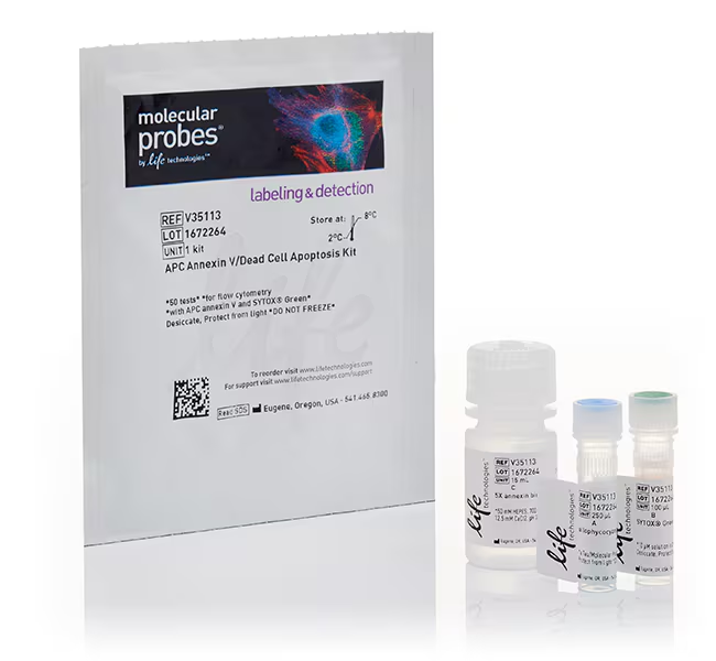Набор для флуоресцентной окраски Dead Cell Apoptosis Kit с Annexin-V APC и SYTOX Green