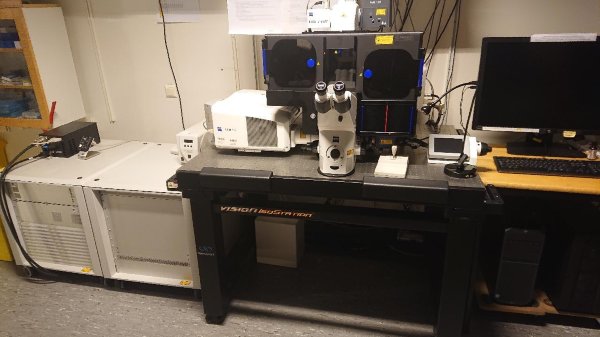 Микроскоп конфокальный Zeiss LSM 710