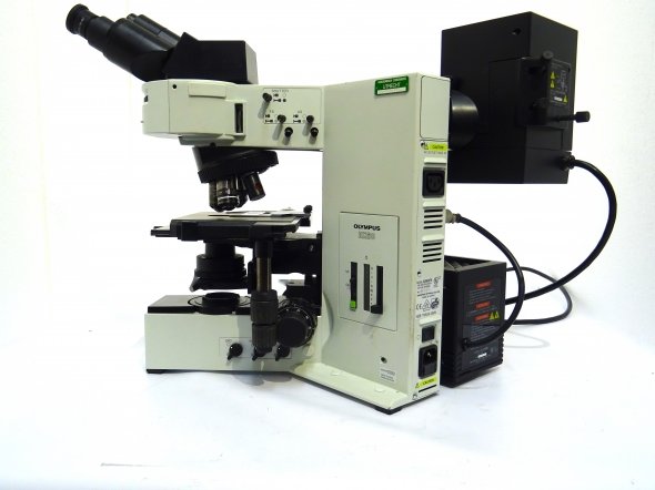 Olympus BX 60 Fluorescentie microscoop