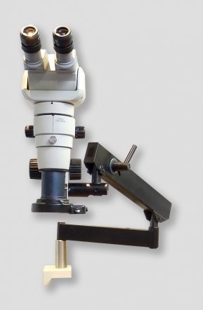 Nikon SMZ800 # 1704
