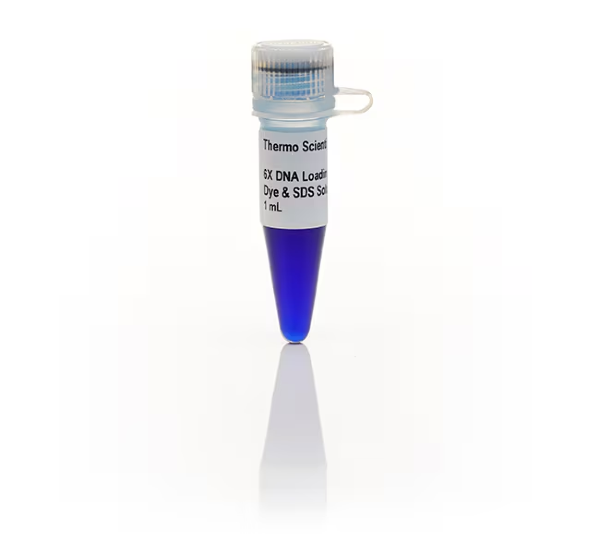 Краситель для нанесения на гель DNA Loading Dye &amp; SDS Solution, 6X