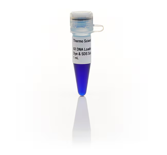 Краситель для нанесения на гель DNA Loading Dye & SDS Solution, 6X