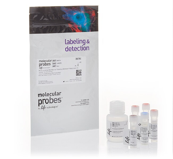 Набор для флуоресцентной окраски Mitochondrial Membrane Potential Apoptosis Kit, с красителями Mitotracker Red и Annexin-V Alexa Fluor 488